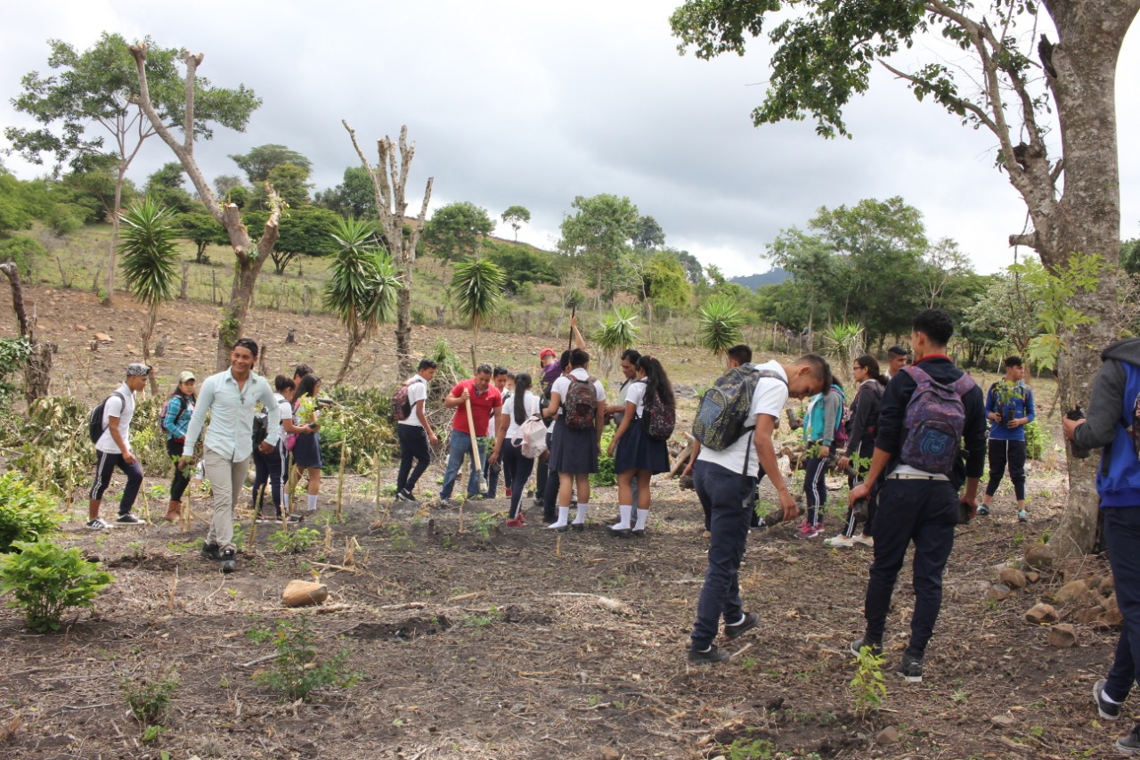 Reforesta2